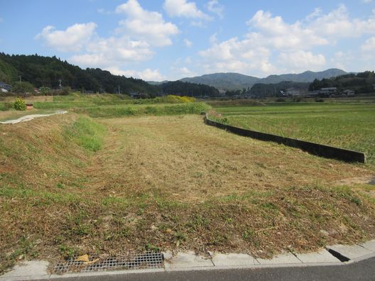 束荷380土地